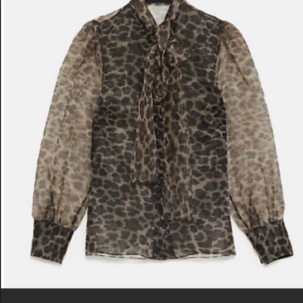Zara animal print organza blouse - Picture 8 of 8
